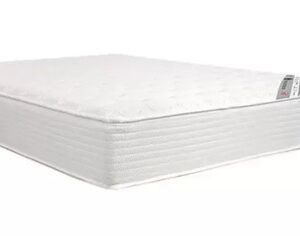 Revolution Pocket® Híbrido - Castor
