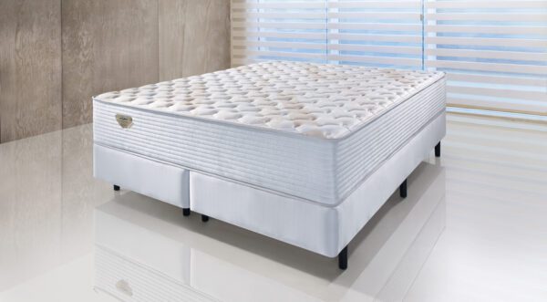 Privilege - Ecoflex